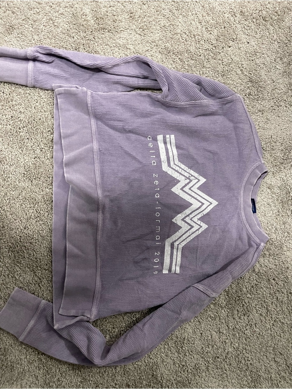 Delta Zeta Lavender Graphic Pullover Sweatshirt